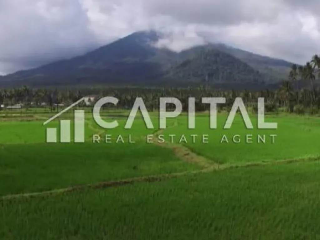 BU cepat! Jual tanah dengan view terbaik Gunung Klabat di Dimembe, Minahasa Utara, Sulawesi Utara | iklanova.com