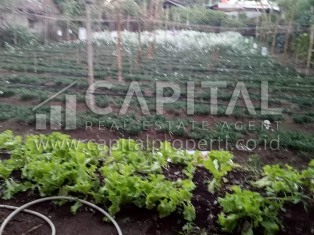 BU cepat! Jual villa 2 lantai di sayap Kolonel Masturi Lembang Bandung | iklanova.com