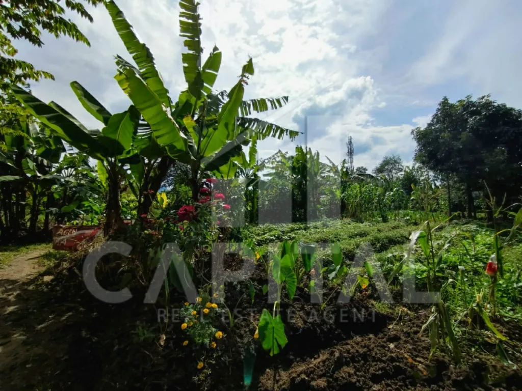 Flash sale! Jual lahan komersil di Ciwastra kawasan Bandung Timur | iklanova.com