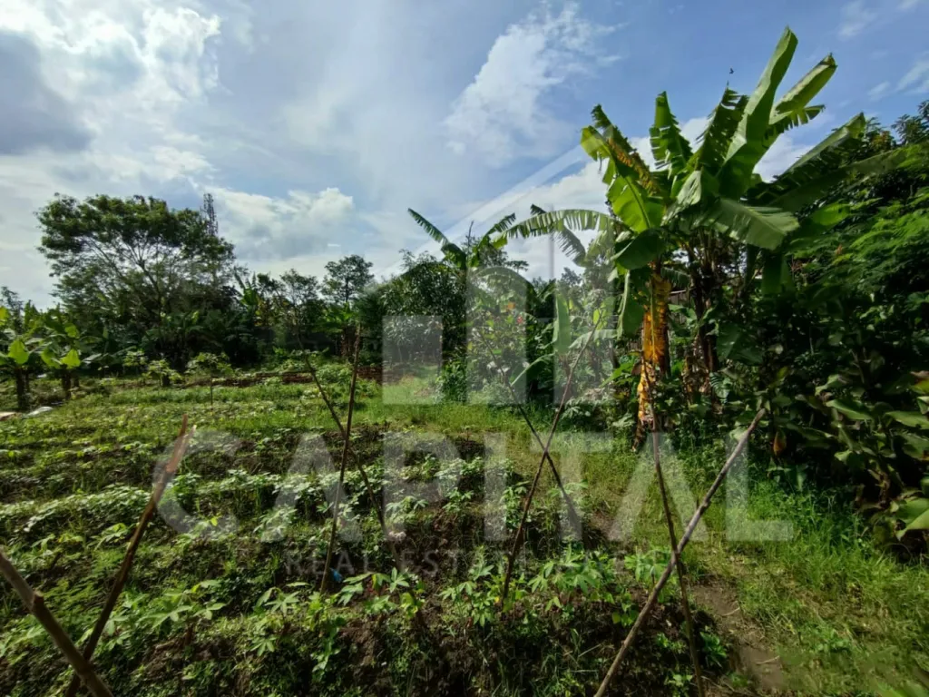 Flash sale! Jual lahan komersil di Ciwastra kawasan Bandung Timur | iklanova.com