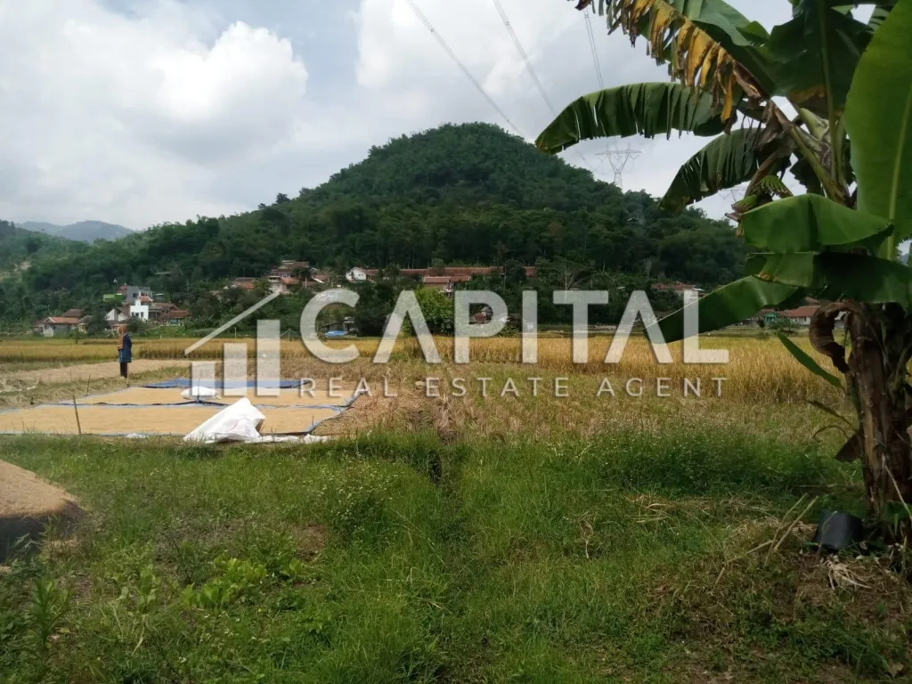 Jual cepat ! Tanah/kavling di mainroad Soreang | iklanova.com