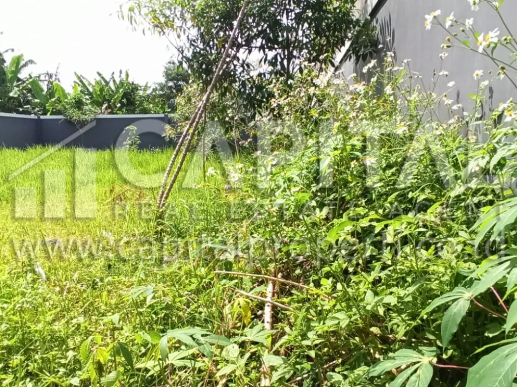 Jual Kavling tanah siap bangun di Jl Raya Utama Komplek Pancanaka Royal Garden Cimahi Utara | iklanova.com