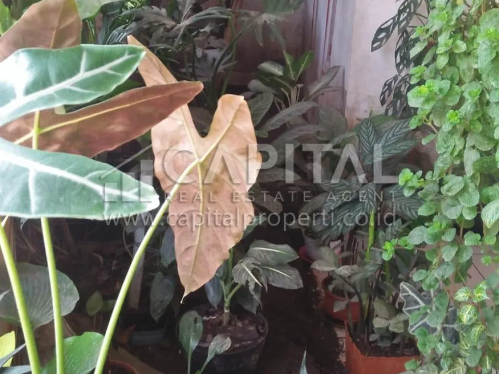 Jual rumah di Sadang Sari Asri Bandung | iklanova.com