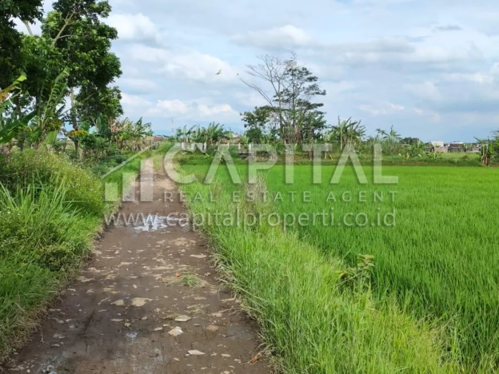 Jual tanah di Sapan Gedebage Bandung | iklanova.com