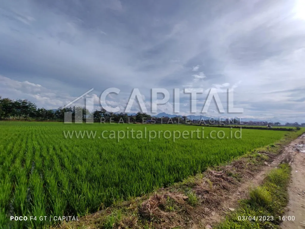 Jual tanah di Sapan Gedebage Bandung | iklanova.com