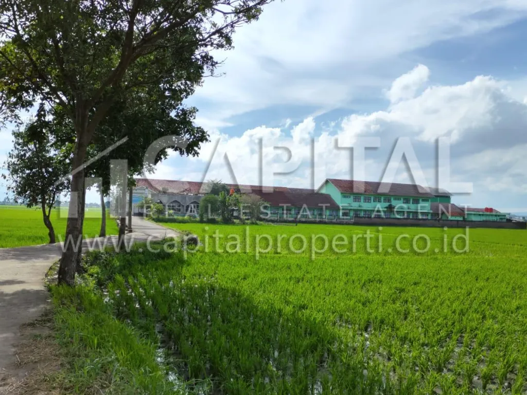 Jual tanah di Sapan Gedebage Bandung | iklanova.com