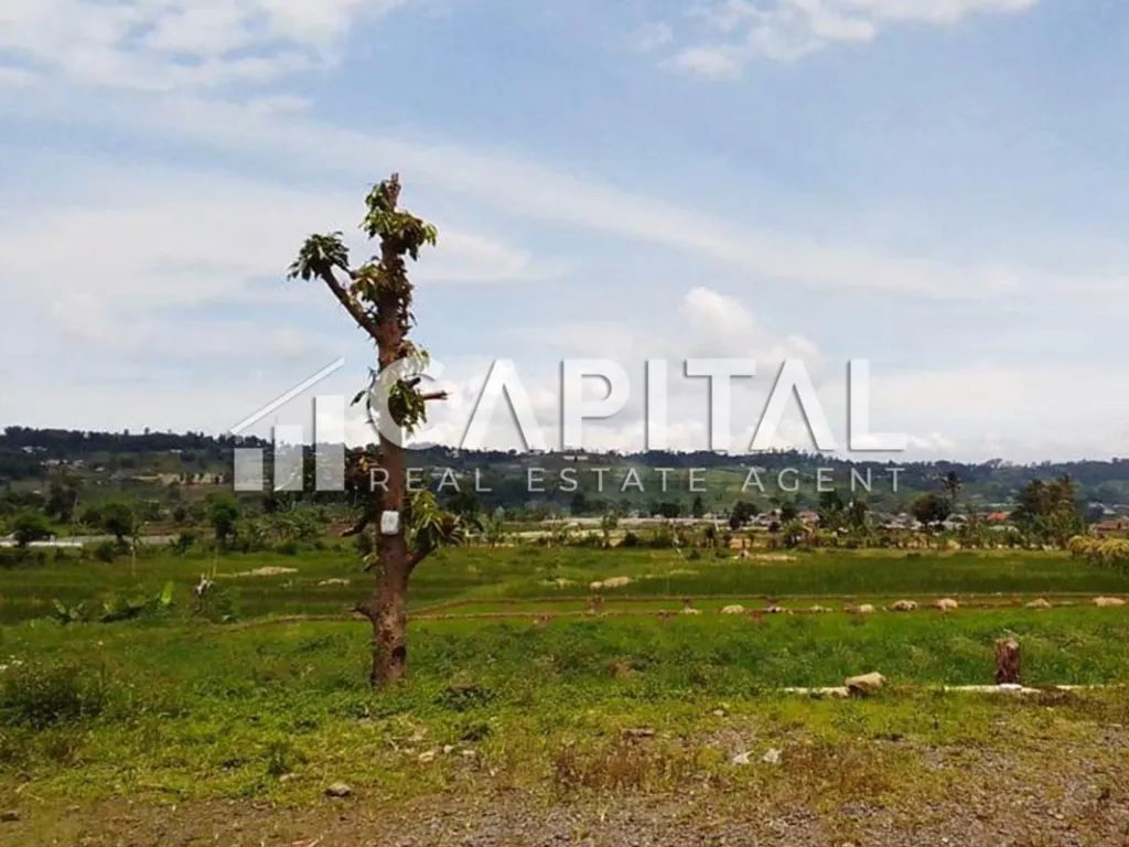 Jual tanah luas dan strategis di Jalan Raya Puncak Cianjur | iklanova.com