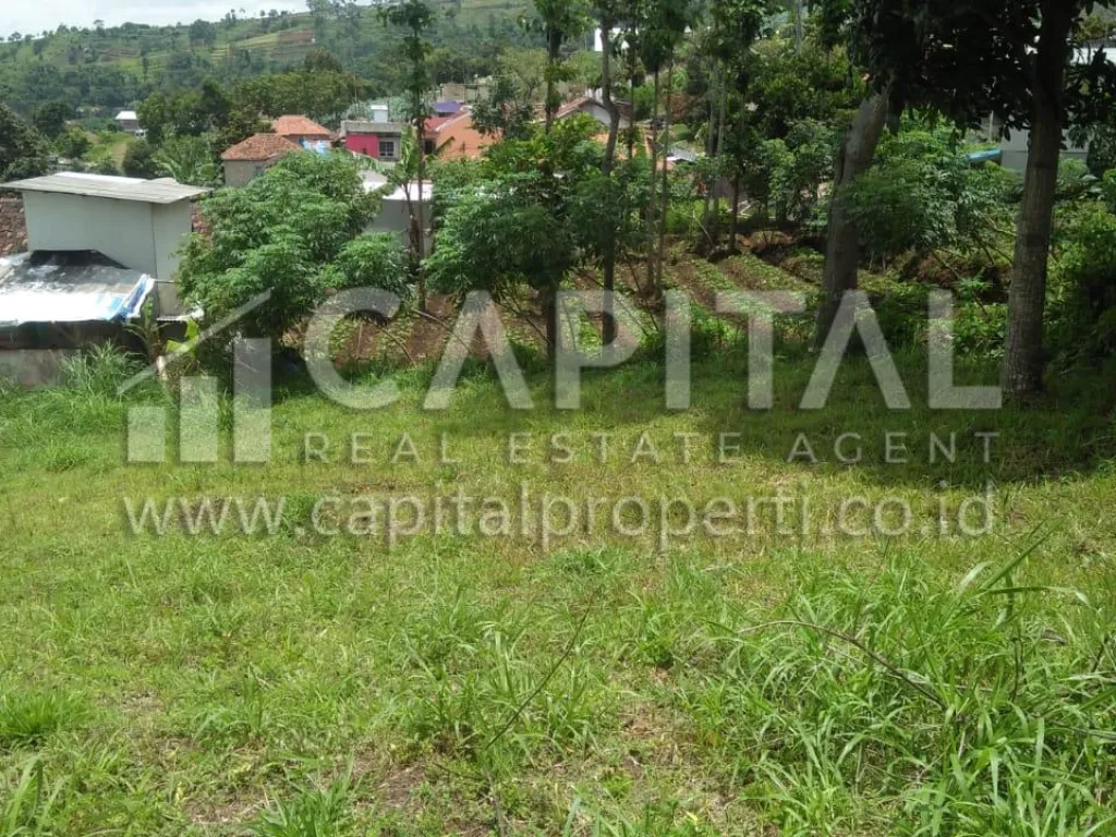 Jual tanah potensial di Lembang Bandung | iklanova.com