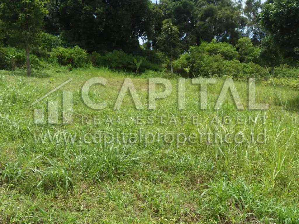 Jual tanah potensial di Lembang Bandung | iklanova.com