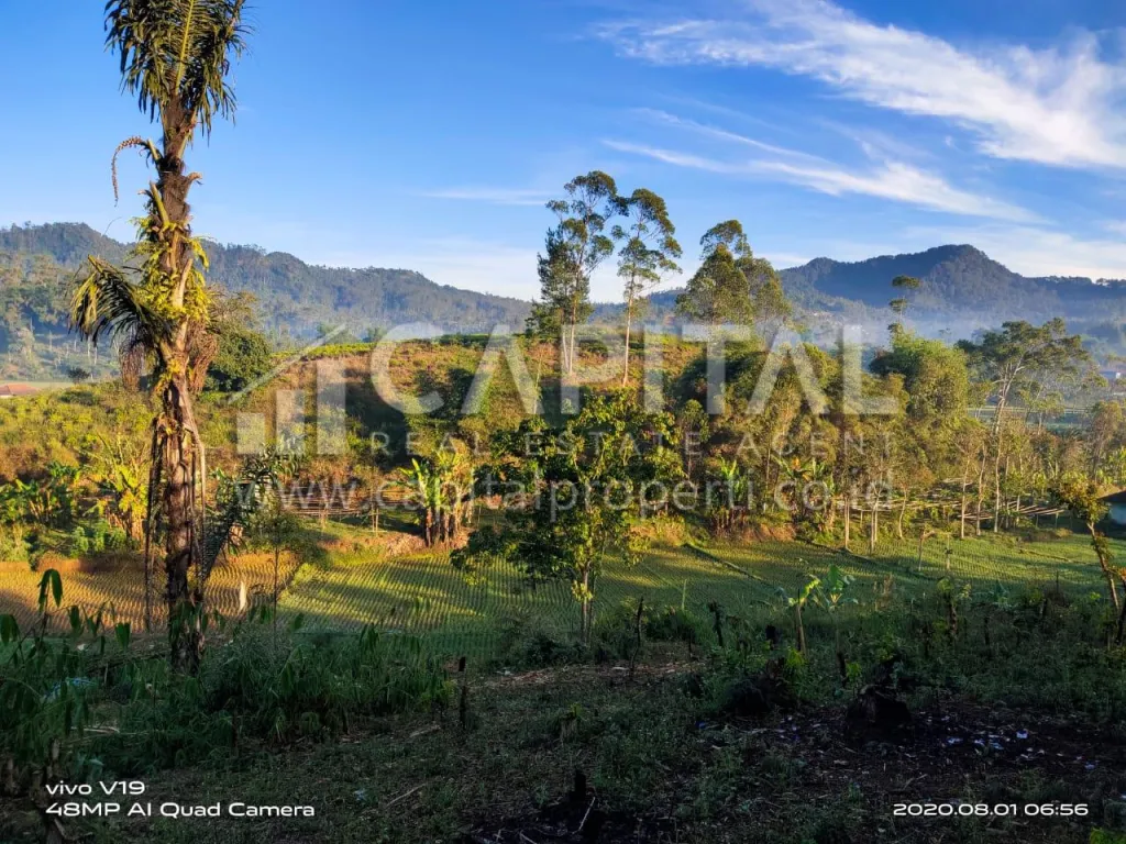 Jual tanah untuk villa atau kebun di Ciwidey Bandung | iklanova.com