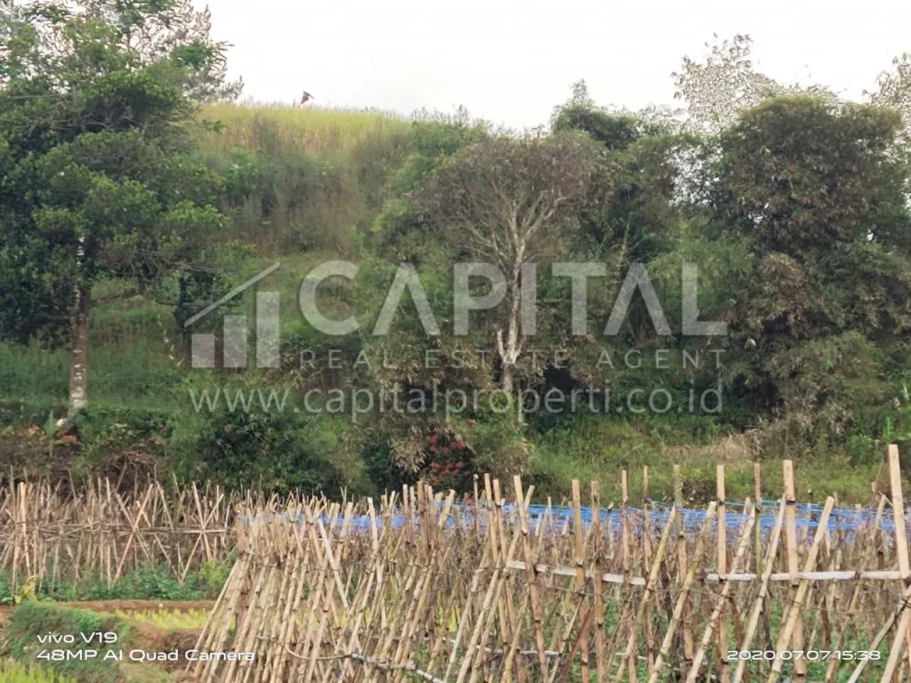 Jual tanah untuk villa atau kebun di Ciwidey Bandung | iklanova.com