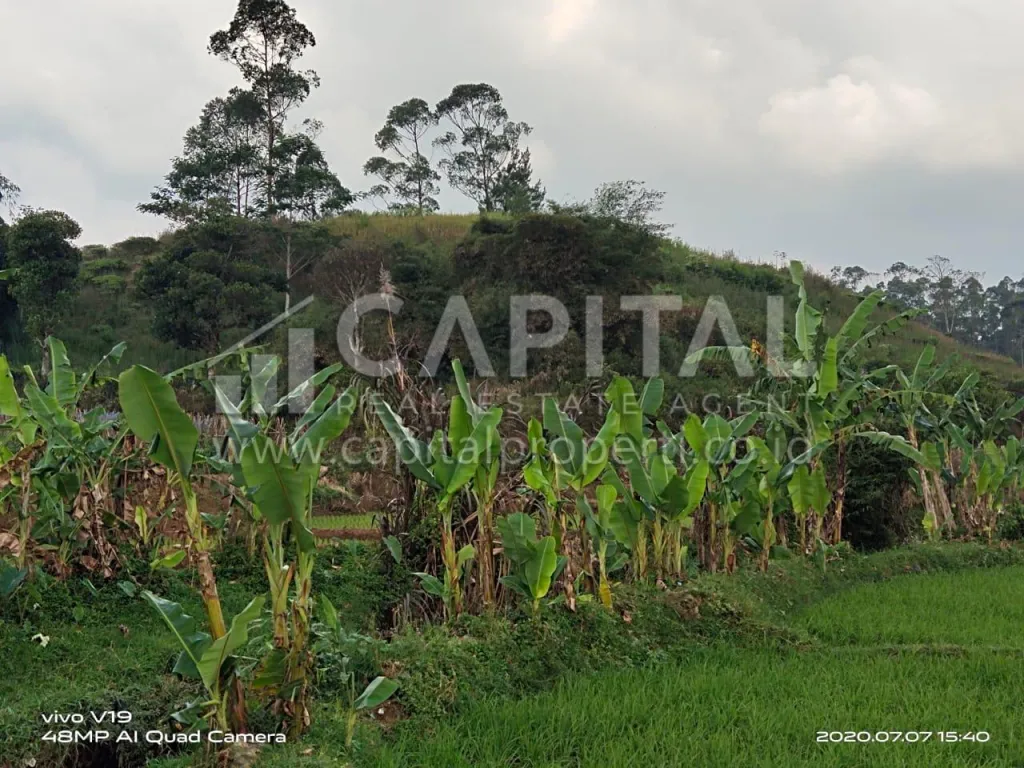 Jual tanah untuk villa atau kebun di Ciwidey Bandung | iklanova.com