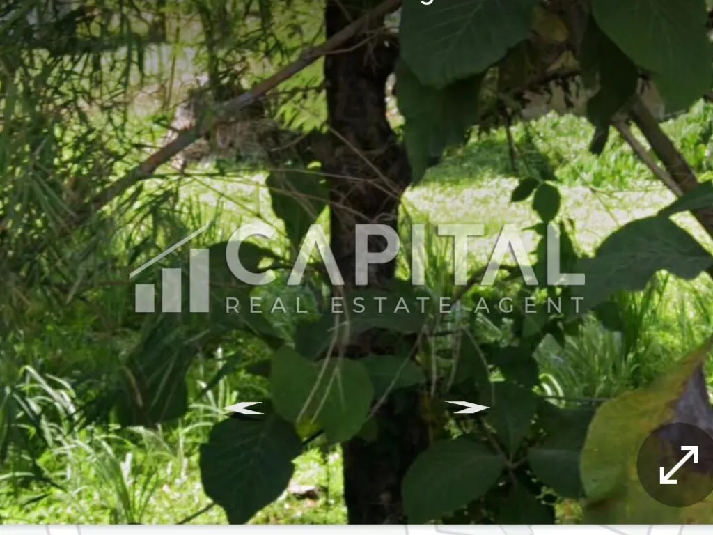 Jual tanah/kavling luas di Cisauk Tangerang | iklanova.com