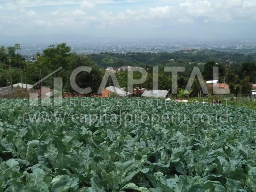 Jual tanah/kavling strategis di area Punclut arah Lembang Bandung | iklanova.com