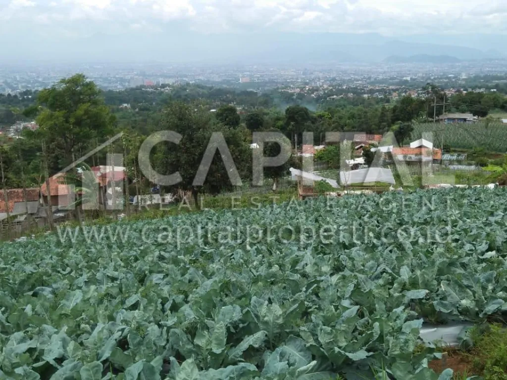 Jual tanah/kavling strategis di area Punclut arah Lembang Bandung | iklanova.com