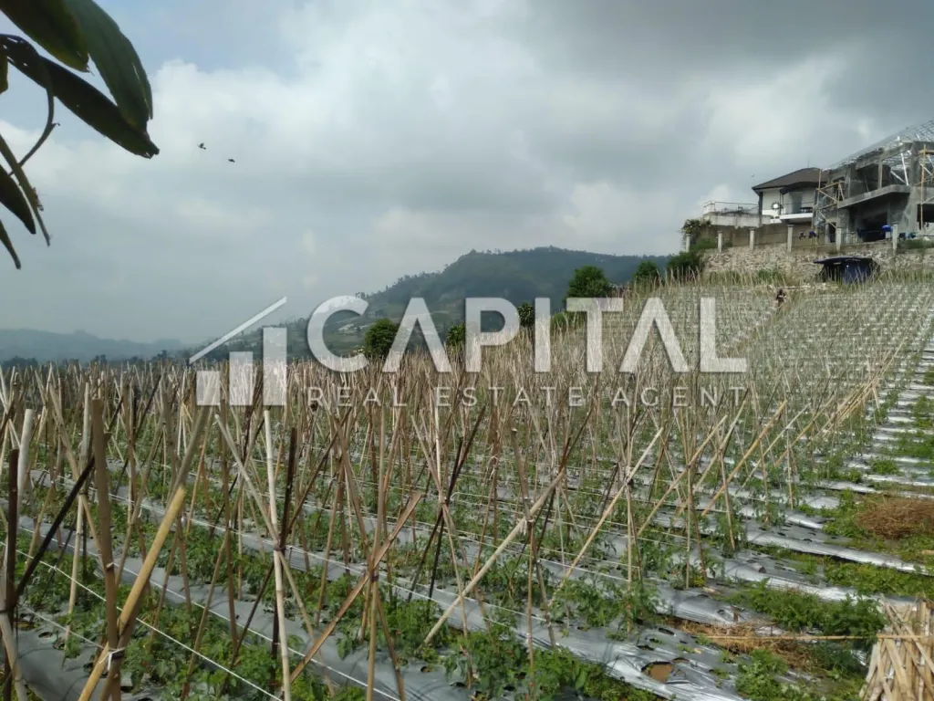 Jual tanah/kavling view Bandung di Cikole Lembang | iklanova.com