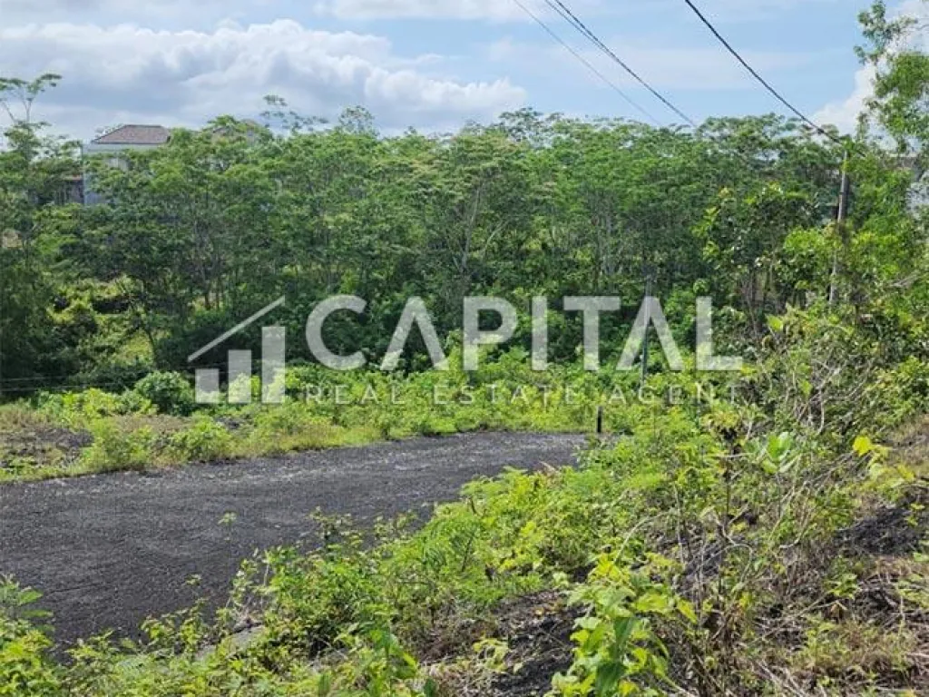 Murah! Jual kavling strategis di Nusa Dua Bali | iklanova.com