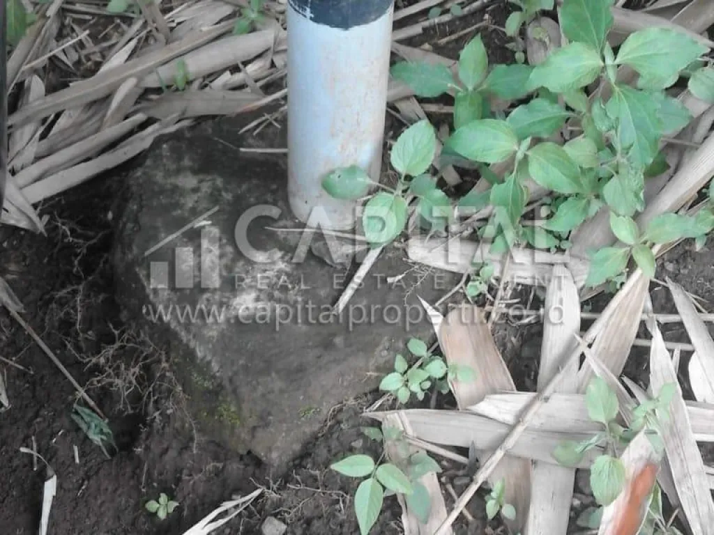 Sangat murah! Jual tanah di Banjaran Bandung | iklanova.com