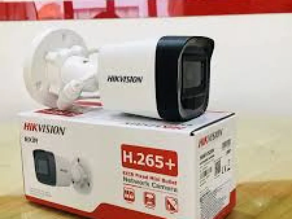 HIKVISION DS-2CD1021G0-IU 2MP AUDIO H265 POE Human Detection Ip Camera | iklanova.com
