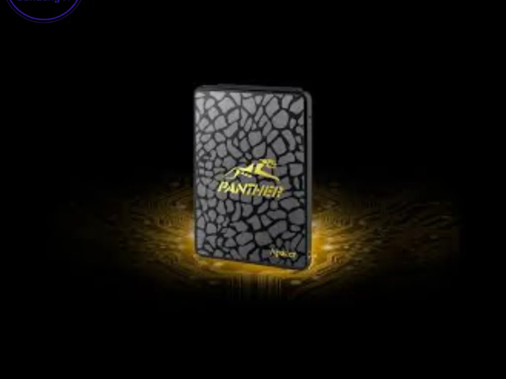 SSD Apacer Panther 480GB SATA III 6Gb/s SSD AS340 | iklanova.com